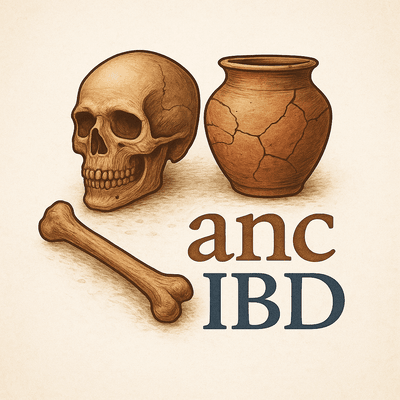 ancIBD logo