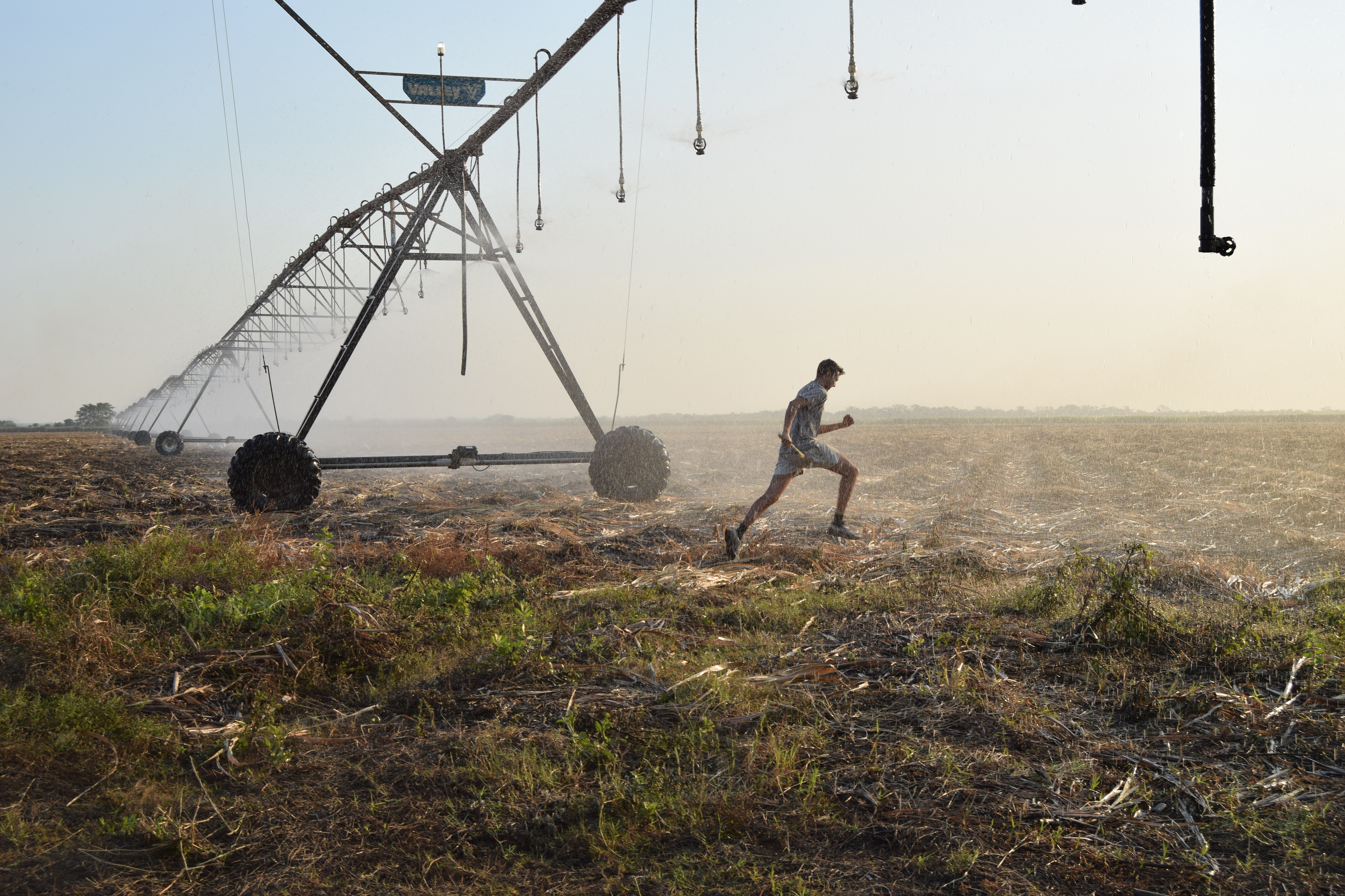 Running through an irrigation system in the Shire Valley, Chikwawa, Malawi.